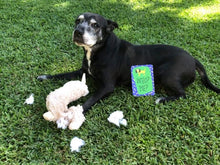 Load image into Gallery viewer, Who? Me? Gulity doggie has been up to mischief? You can have a laugh with these cheeky caption cards for dogs.